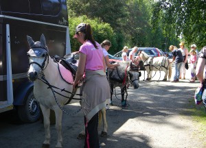 Hessitallin ponien kyytiin pääsi sekä rattaille että selkään istumaan. 
