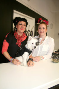 Enkelikellokorut ja siipiaiheet ovat korukauppayrittäjien Kirsi Enqvistin ja Sanna Arosen mieleen. Sanna Pauli-koira puolestaan pukeutuu mielellään liikkeen logolla varustettuun T-paitaan. 