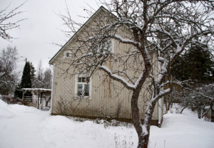 Viialassa syntynyt Niina Tapojärvi osti aviomiehensä kanssa puutalon Toijalan Pätsiniemestä keväällä 2014. Puutalon remonttia käsittelevä Nelliinan puutalo -blogi nousi heti ilmestyttyään suomalaisten blogien kiinnostavimpaan kärkeen.