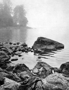 Sibelius soitteli mielellään Vanajaveden rantakivillä. Kuva Margaretha Jalaksen kirjasta Jean Sibelius (1958)