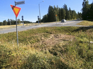 303-tien reunaviivasta kasvanut harvinainen tummatulikukka joutui nyt tuhon omaksi.