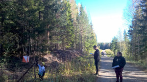 Lempäälän Sääksjärvellä saatiin suunnistaa kauniissa syyssäässä. Kuva: Arto Laamanen