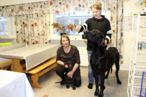 Marjo Tapio toimii opettajana Kylmäkosken 4H-yhdistyksen koiranhoitokurssilla. Kurssilaiset pääsevät testaamaan käytännön taitoja tanskandoggien Hyatcithin ja Enskan kanssa. Tuukka Tapio aikoo osallistua kurssille.