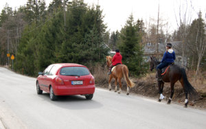 Jos hevosella haluaa ratsastaa muuallakin kuin ratsastuskentällä, on käytännössä pakko mennä teitä pitkin ainakin osan matkaa.