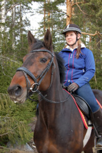 Anne Kuuselan ratsu on lämminverinen, mutta myös suomenhevosten suosio on Suomessa suuri.