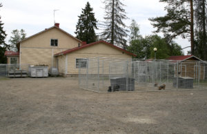 Kurisjärven koulu on vuokrattu Akaan kiinteistöpäällikkö Eija Hyvöselle ja hänen yhdeksälle koiralleen ensi vuoden toukokuuhun asti. 