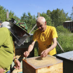 Akaan mehiläisille vieraita Itävallasta