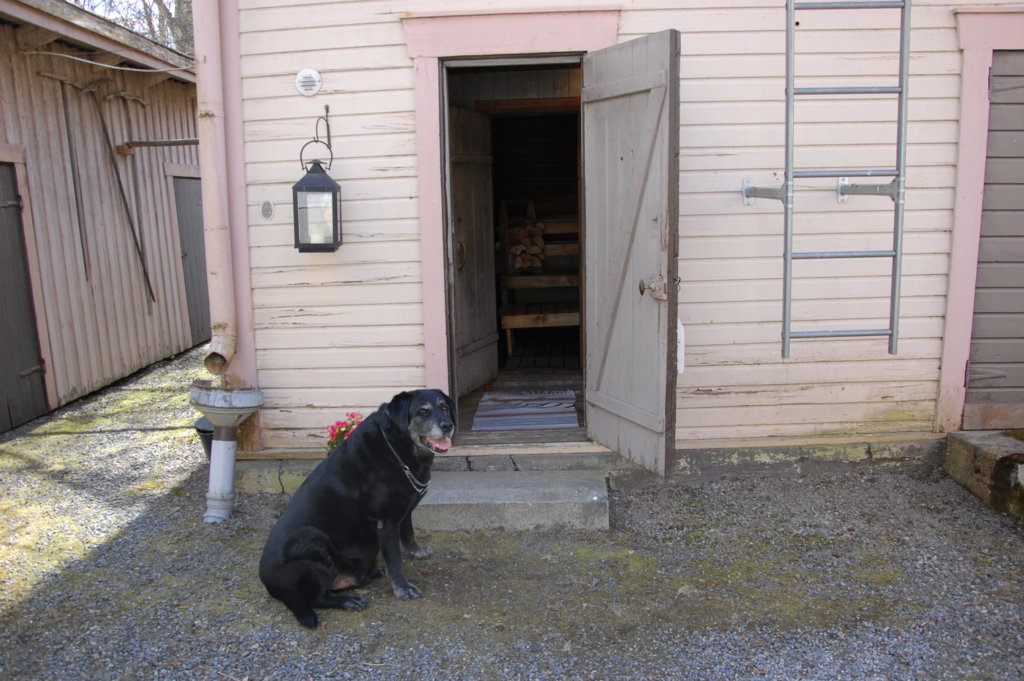Satu Helinin koira Kampsu toivottaa saunojat tervetulleiksi.
