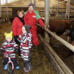 Nina ja Jani Salo johtavat 200 lehmän maitotilaa Mellollassa