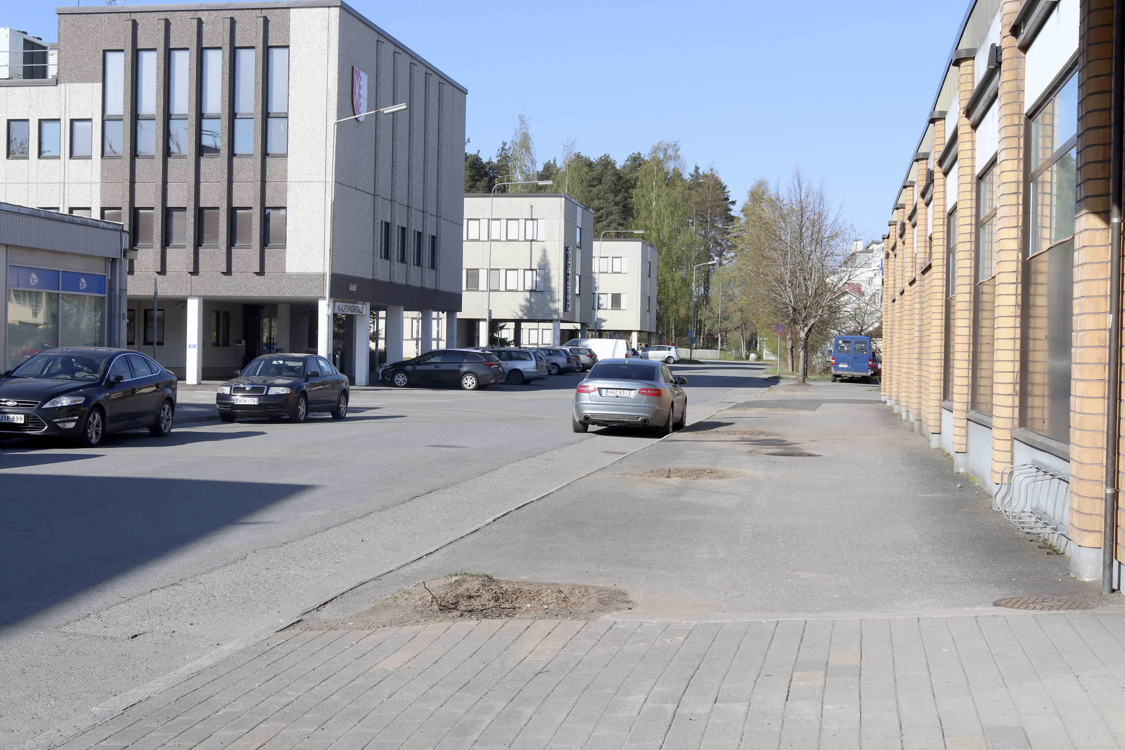 Myllytien lehmukset olivat huonossa kunnossa ja aiheuttivat monenlaisia ongelmia – Lahovauriot johtuivat väärin tehdyistä hoitoleikkauksista