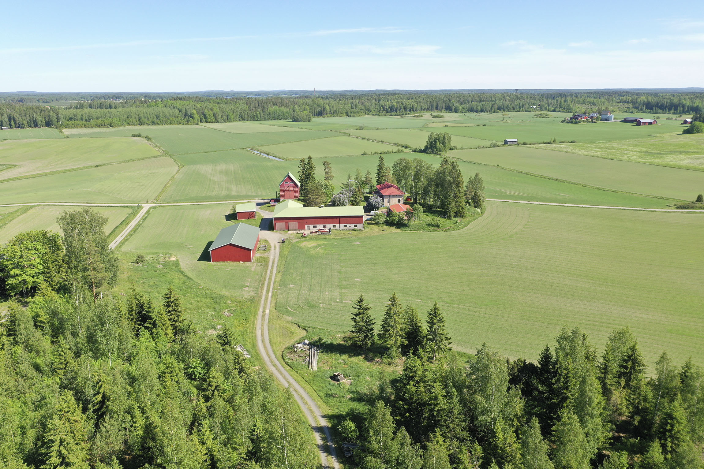 Päärata kuntoon – Metsärata on epärealistinen