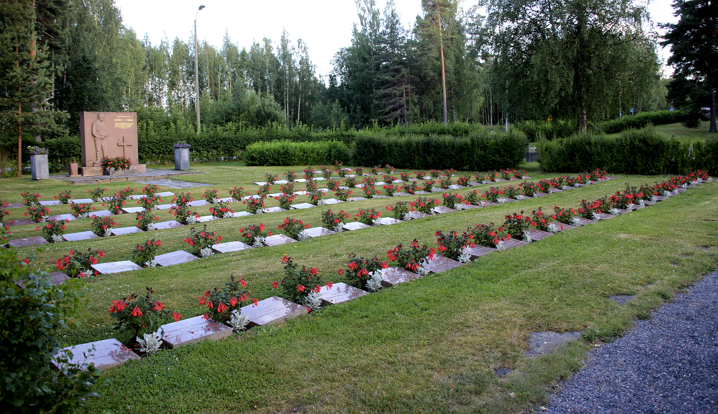 Akaan sankarihaudoilla kukkivat viime kesältä tutut puistoahkeraliisa sekä kyynelverenpisara