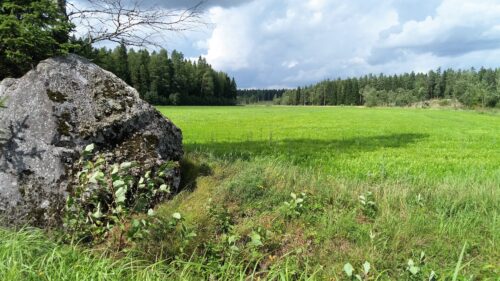Valtaosa suomalaisesta ruoasta tulee suoraan tai välillisesti pelloilta. Suhteemme peltoon täytyy tutkijoiden mukaan muuttua monin tavoin.