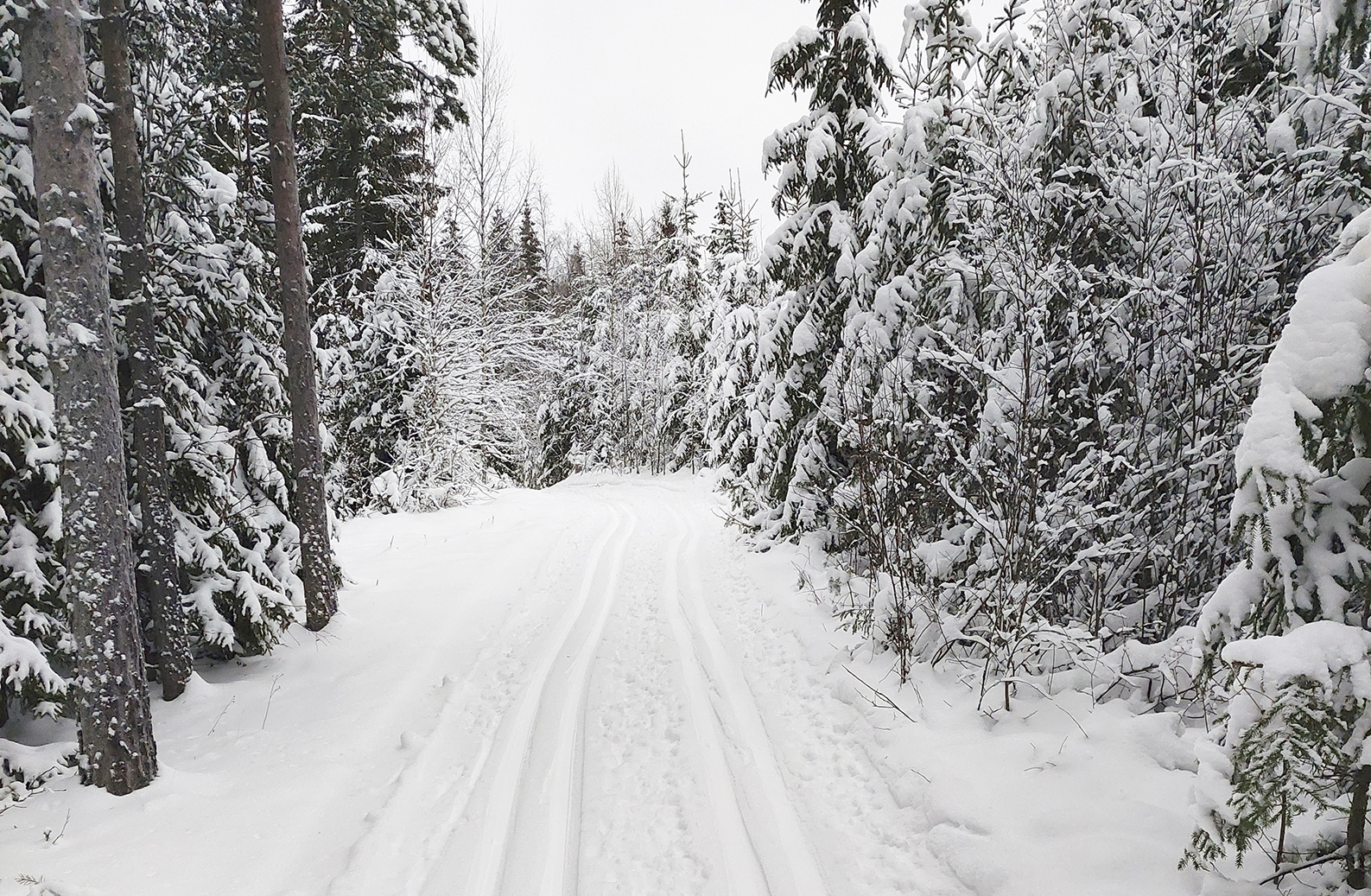 Latu-ura ei ole kävelytie