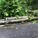 Myrsky aiheuttanut Pirkanmaalla yli sata tehtävää – Vakavammilta vahingoilta on vältytty