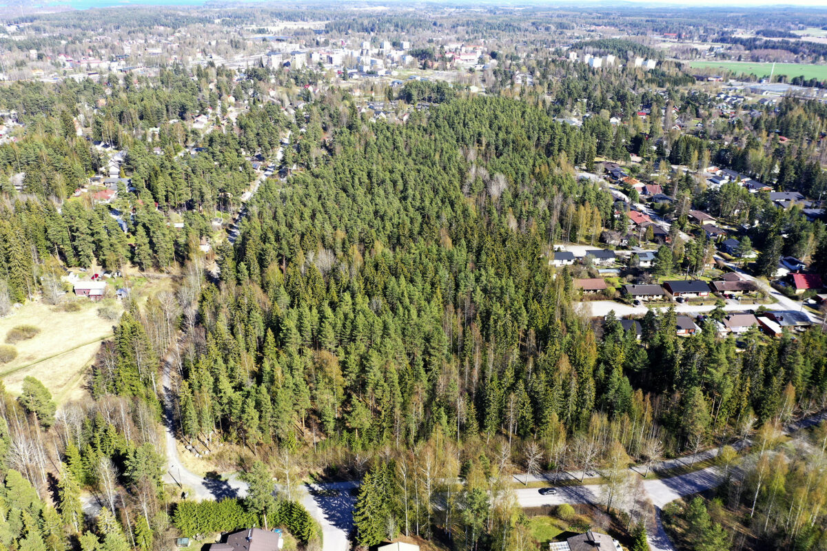 Lähiluonnon tuhoaminen koulun tieltä ei sovi Akaan brändiin