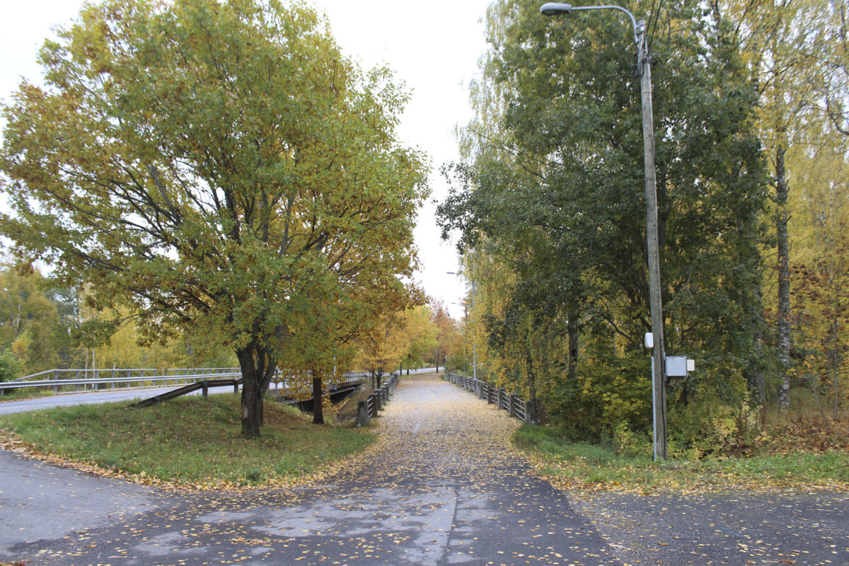 Haihunkosken yliajajan vankeustuomio koveni hovissa