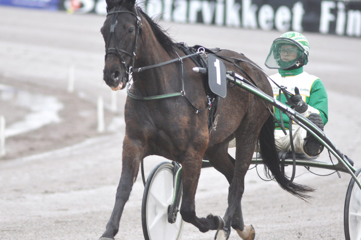 Akaan ravureilla oli mainio viikko – Pauli Luoman mainio kevät jatkui Kouvolassa