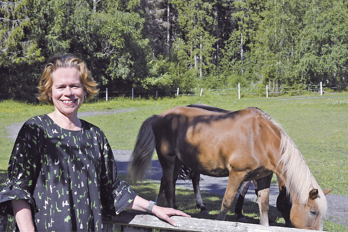 Kansalais- ja työväenopistot tarjoavat turvasataman