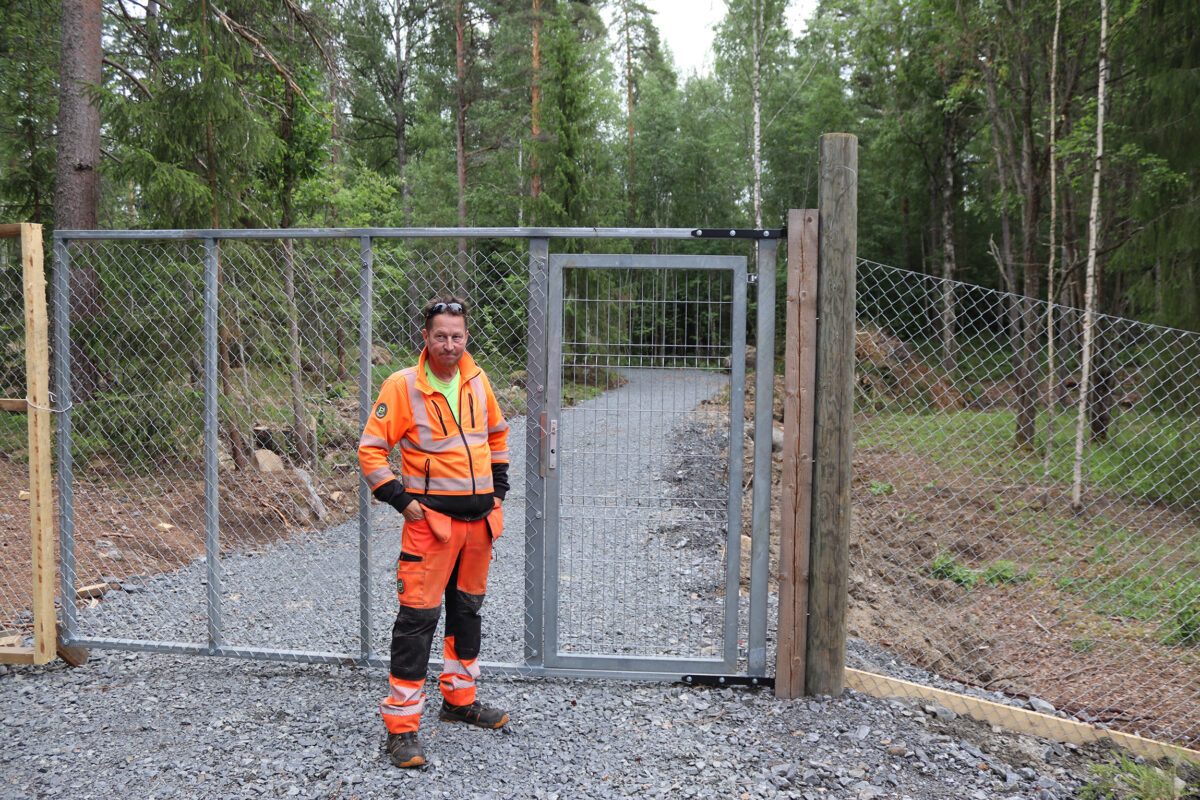 Akaalaisyrittäjä Pasi Hurme avaa koirametsän Toijalaan – Alueen ympäri on rakennettu 400 metriä aitaa käsivoimin